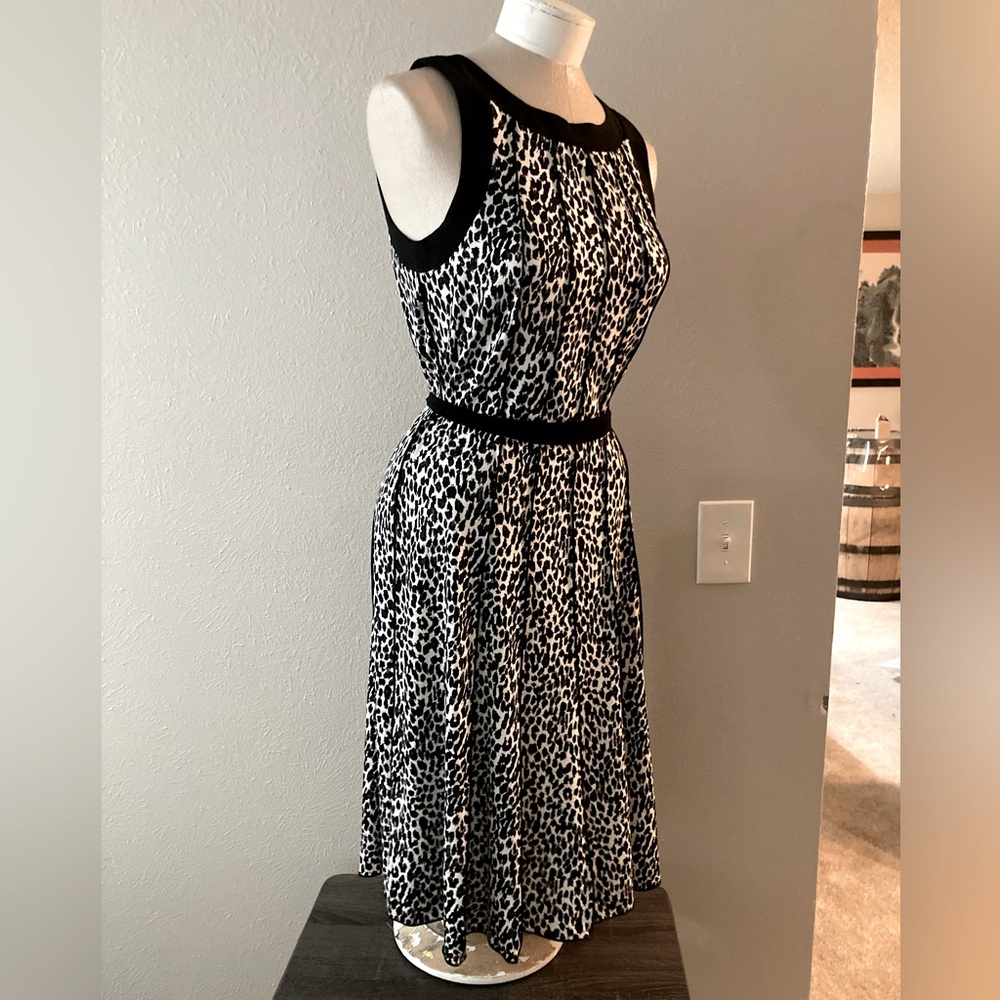 Stretchy Print Dress